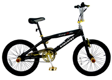 20"freestyle bicycle